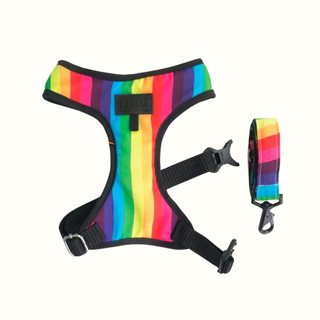 Pechera y Correa Colors Fedele Para Perro
