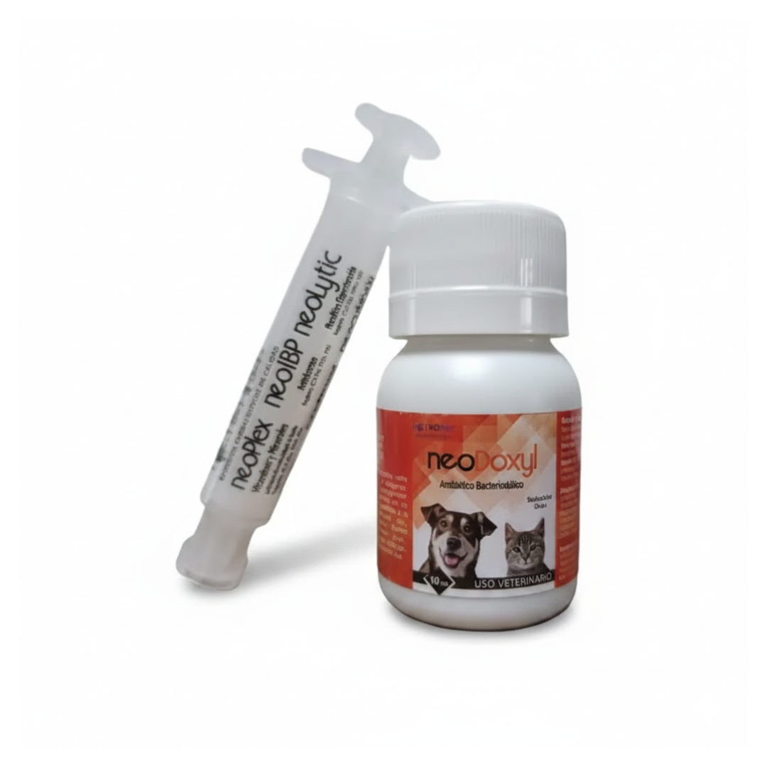 Antibiótico NeoDoxyl Solución Oral Perros y Gatos