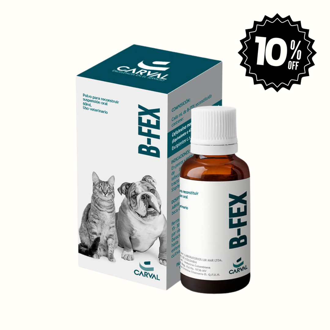 Antibiótico B-Fex Suspension Oral para perro y gato