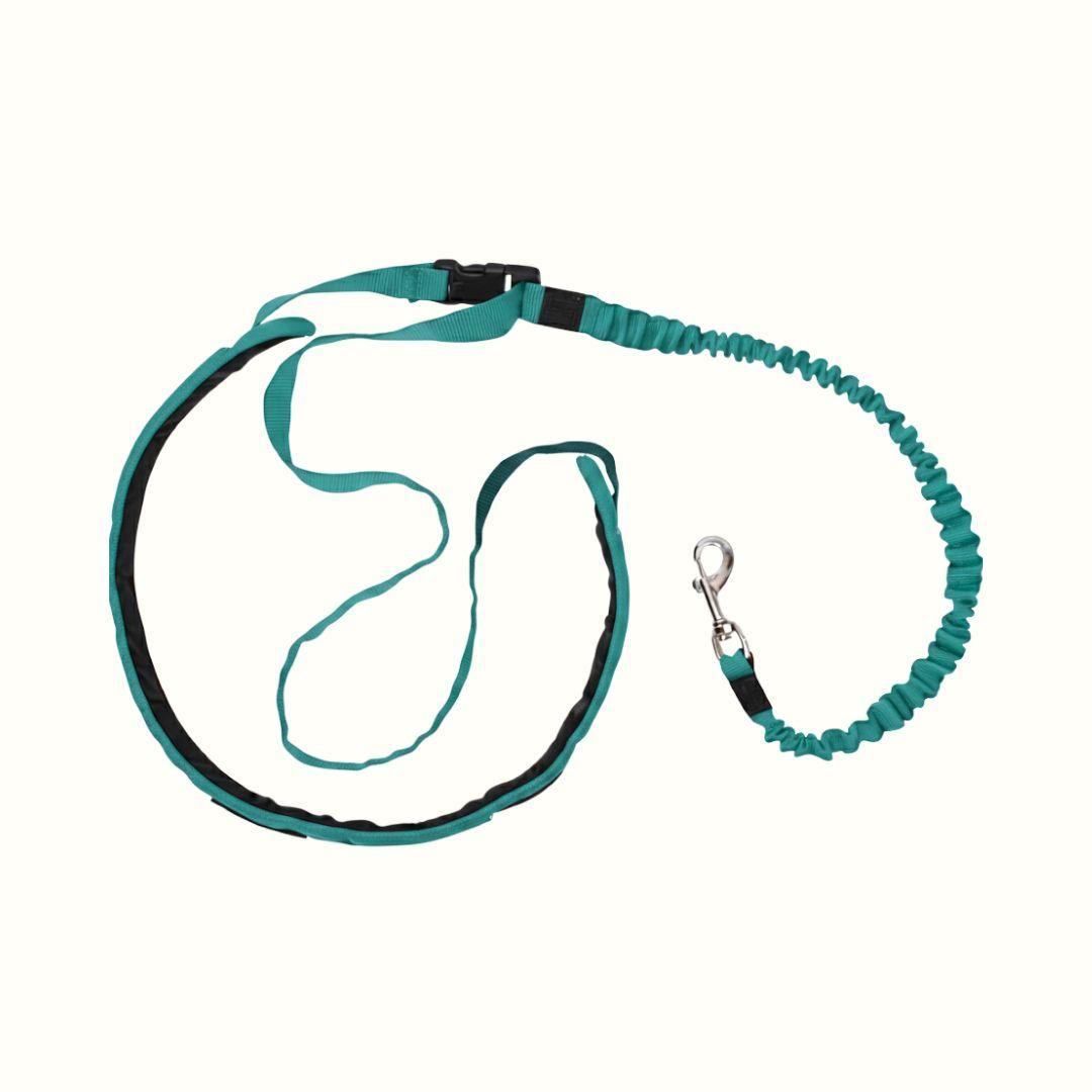 Correa Manos Libres Antitirones con Resorte Kanu Pet para Perros verde Jade