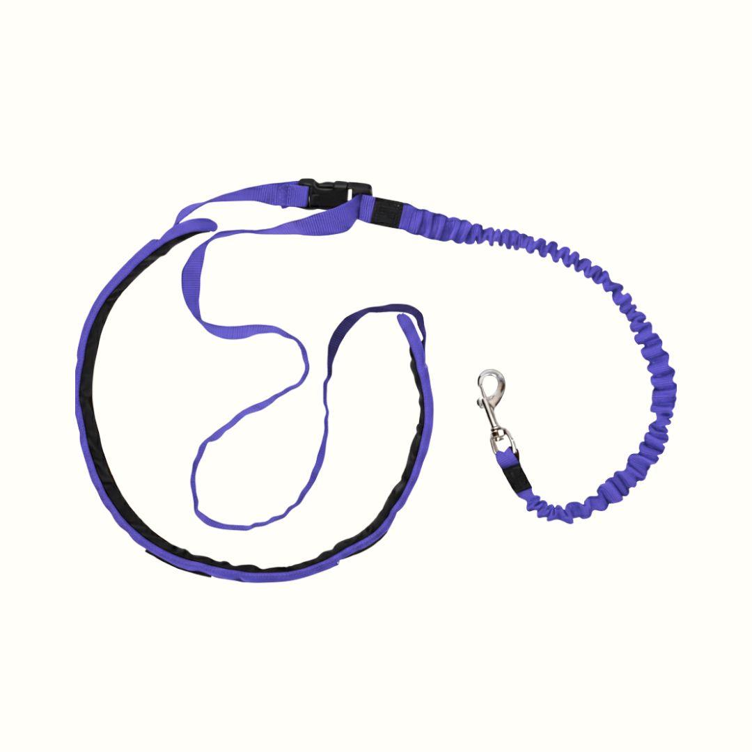 Correa Manos Libres Antitirones con Resorte Kanu Pet para Perros Morado