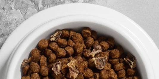 Alimento Seco 100% Natural - Perros