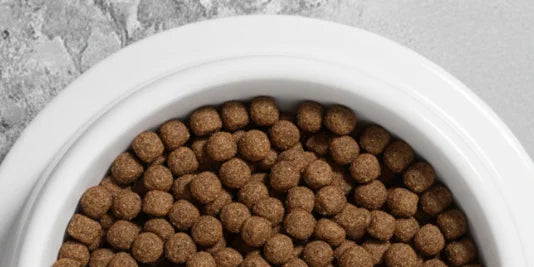 Alimento Medicado Especial - Perros