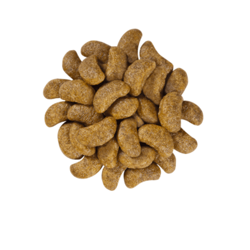 Alimento para perro Royal Canin Renal Support