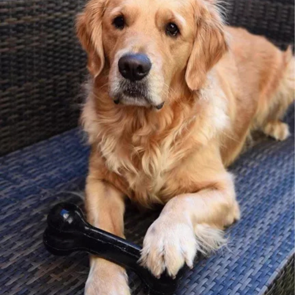 Portapasabocas kong hueso extreme medium para perro