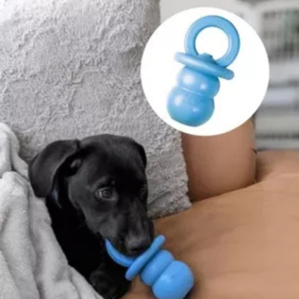 Portapasabocas kong small puppy binkie para perro