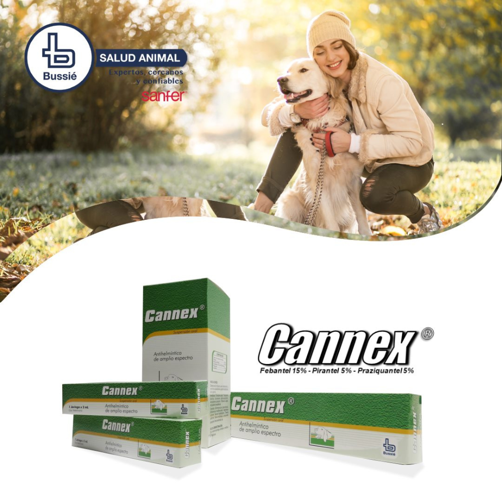 Cannex Jeringa para perro