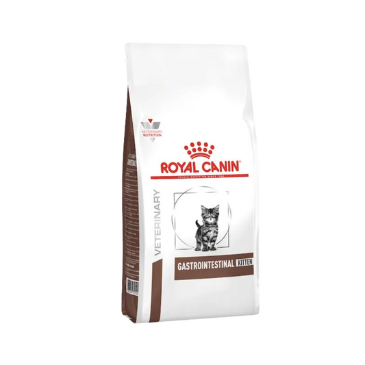 Alimento Para Gato Royal Canin Kitten Gastrointestinal