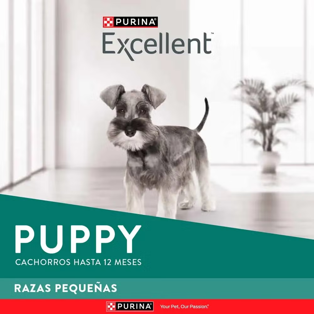Alimento Para Perro Excellent Puppy Small Breed