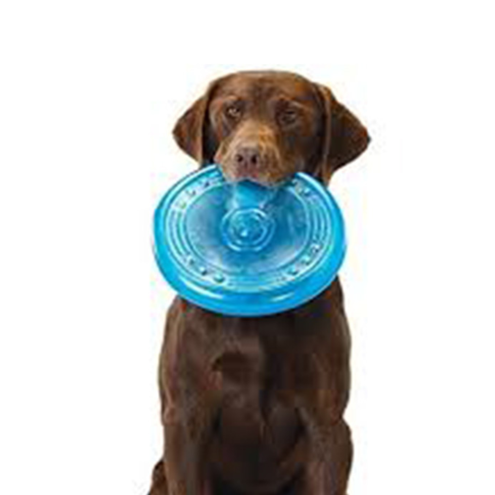 Frisbee caucho orka para perro