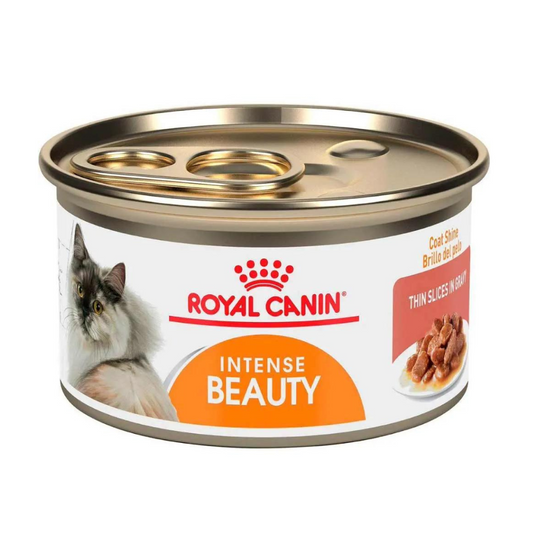 Alimento para gato Royal canin lata Beauty