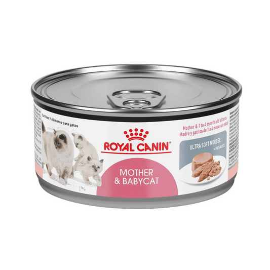 Alimento Para Gato Royal Canin Mother And Baby Cat