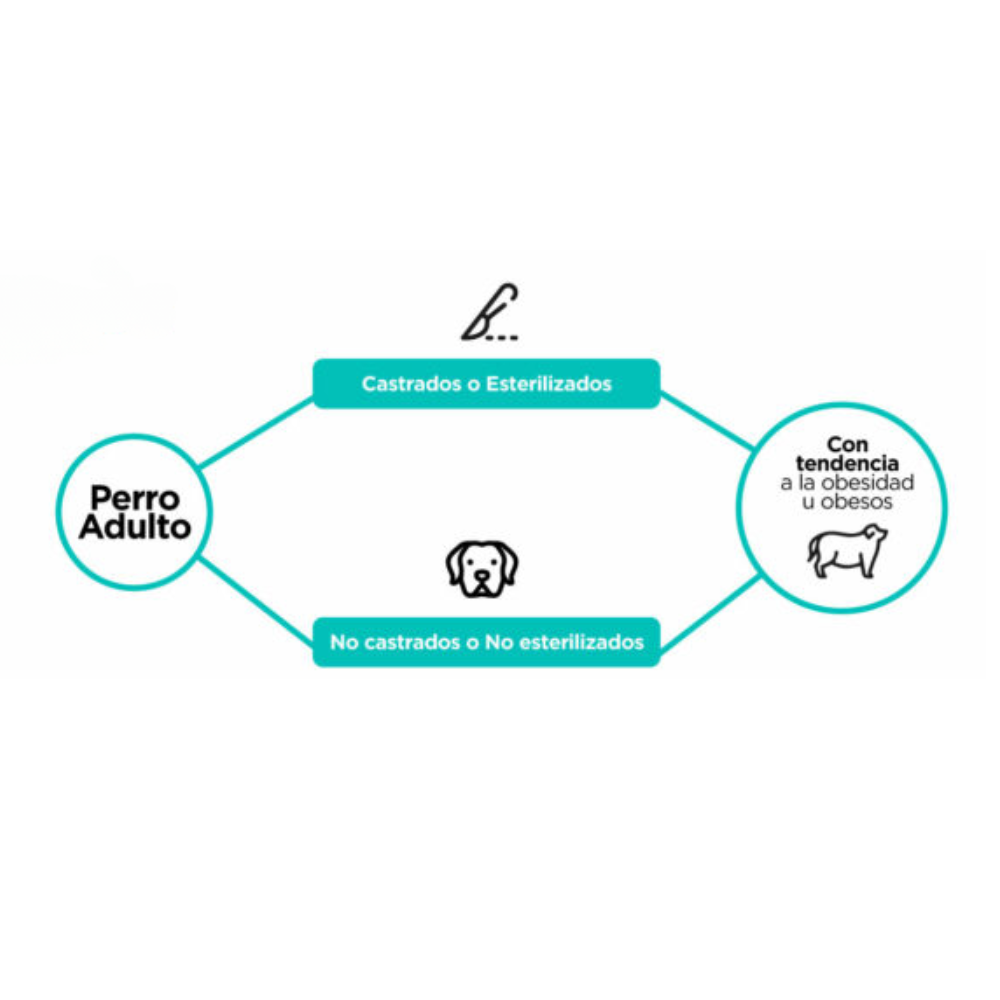 Alimento Para Perro Agility Gold Obesos