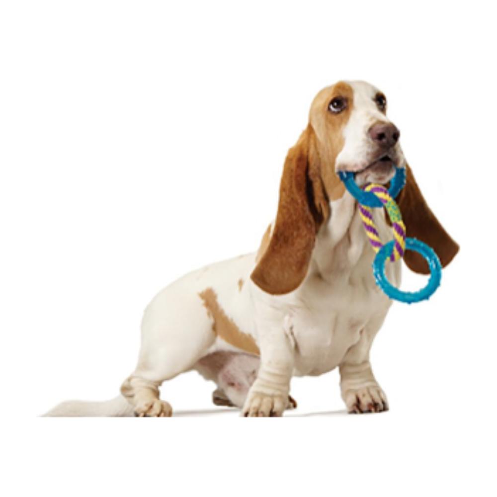 Juguete orka jalador anillos para perro