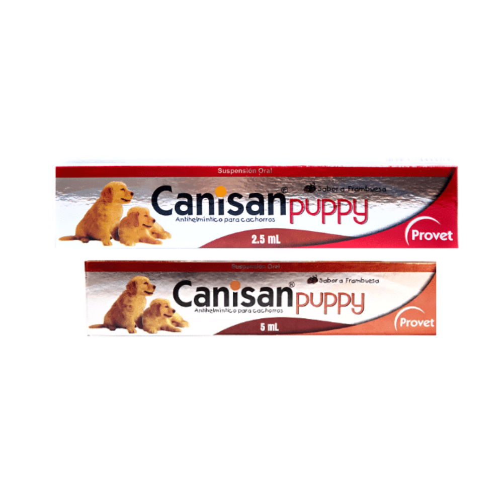 Canisan puppy para perro