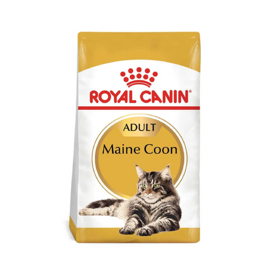 Alimento para gato Royal Canin Maine Coon Adulto