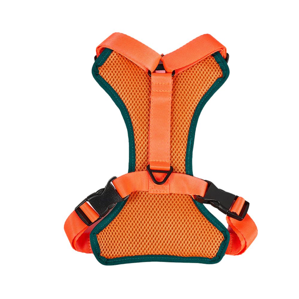 Pechera Verde / Naranja Kanu Pet para Perro