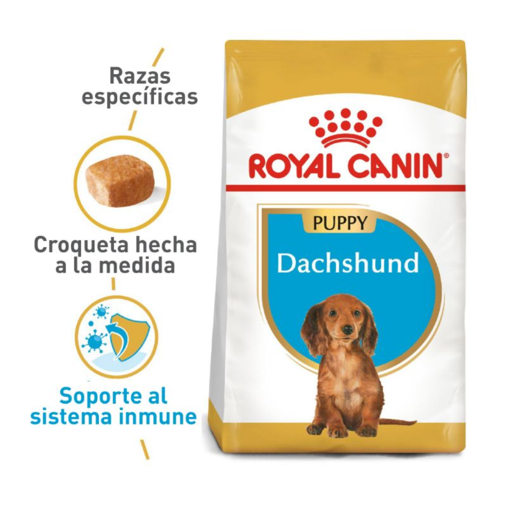 Alimento Para Perro Royal Canin Dachshund Puppy