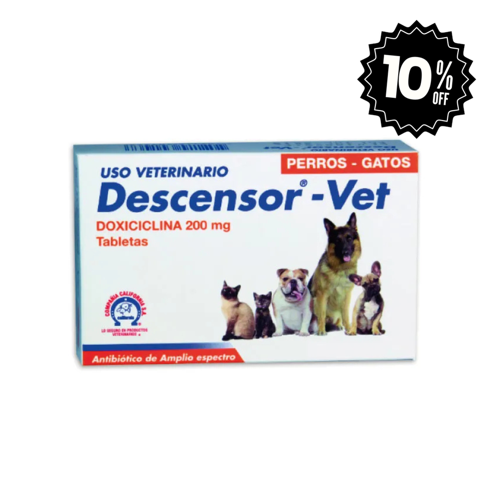 Descensor 1 tableta para todas