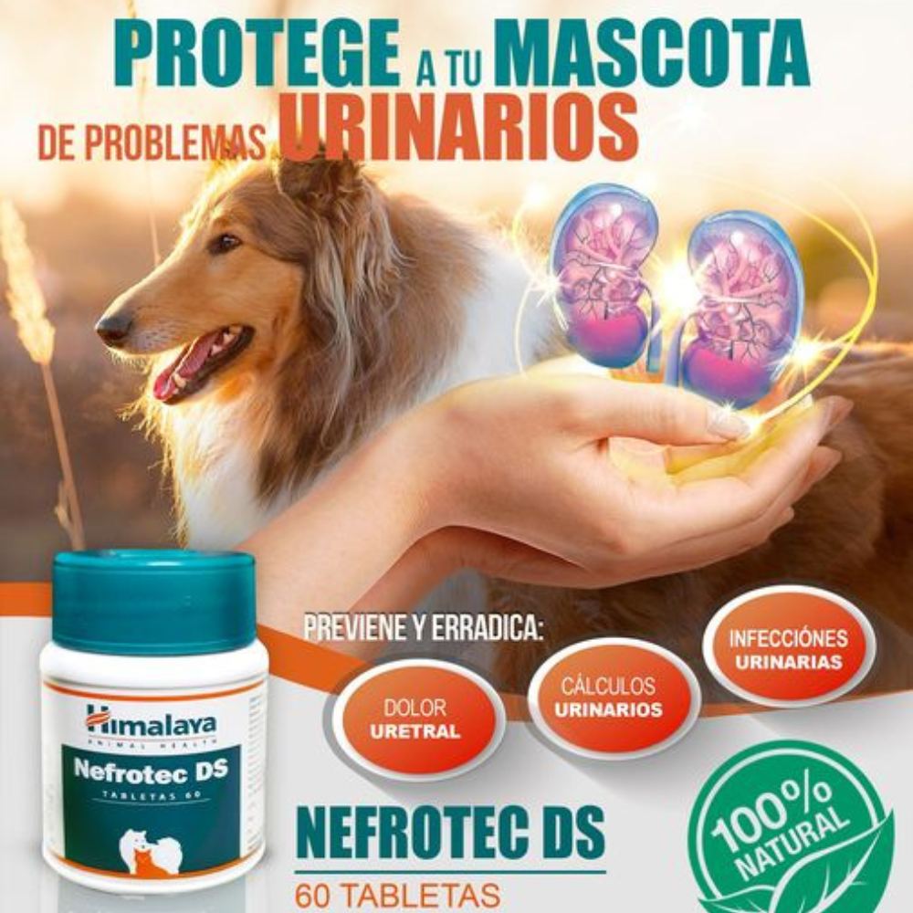 Nefrotec Fco x 60 Tabs para todos