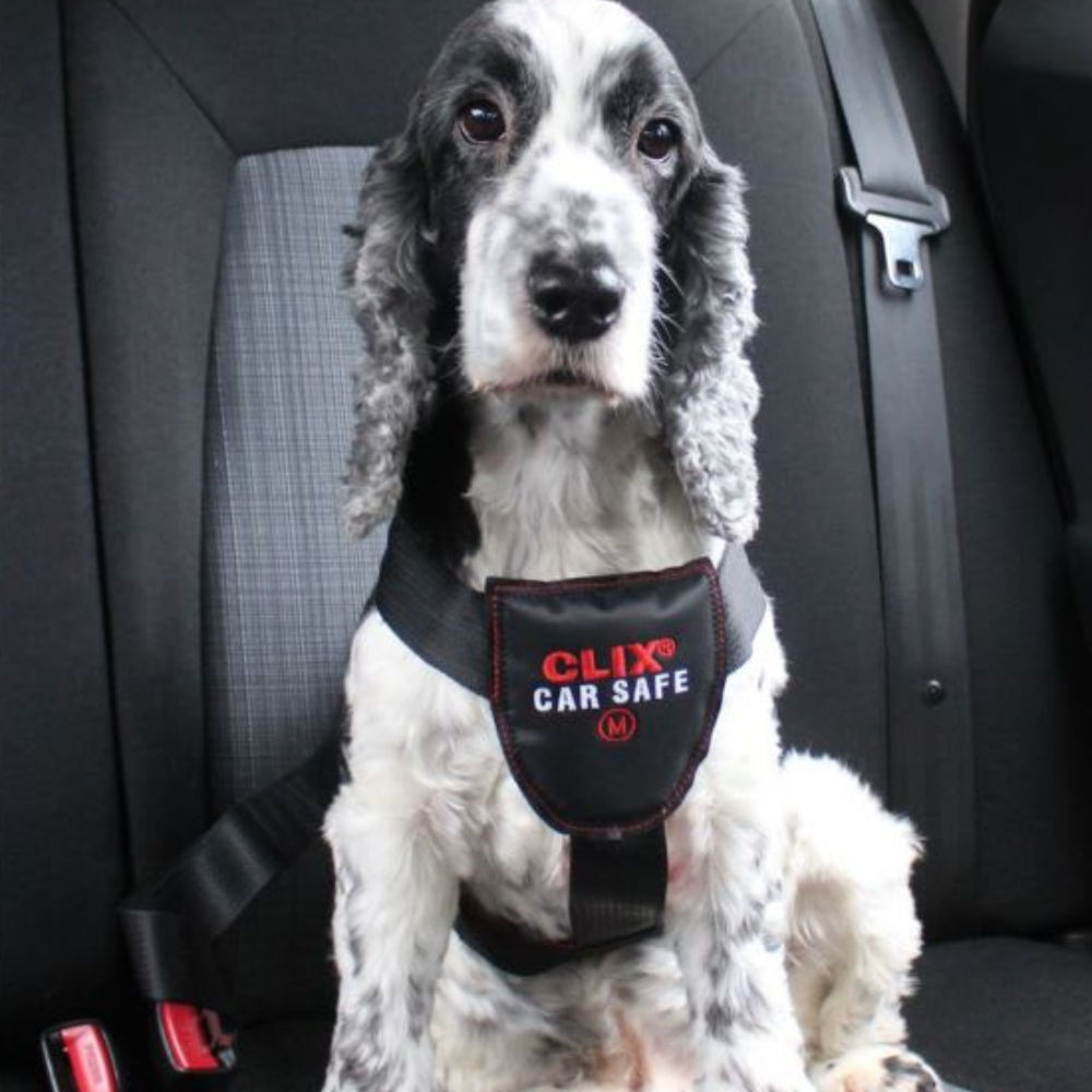 Coa Clix Car Safe para perro
