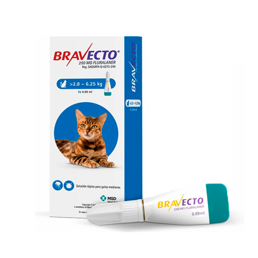 Antipulgas Bravecto 2.8 a 6.2 KG Para Gato
