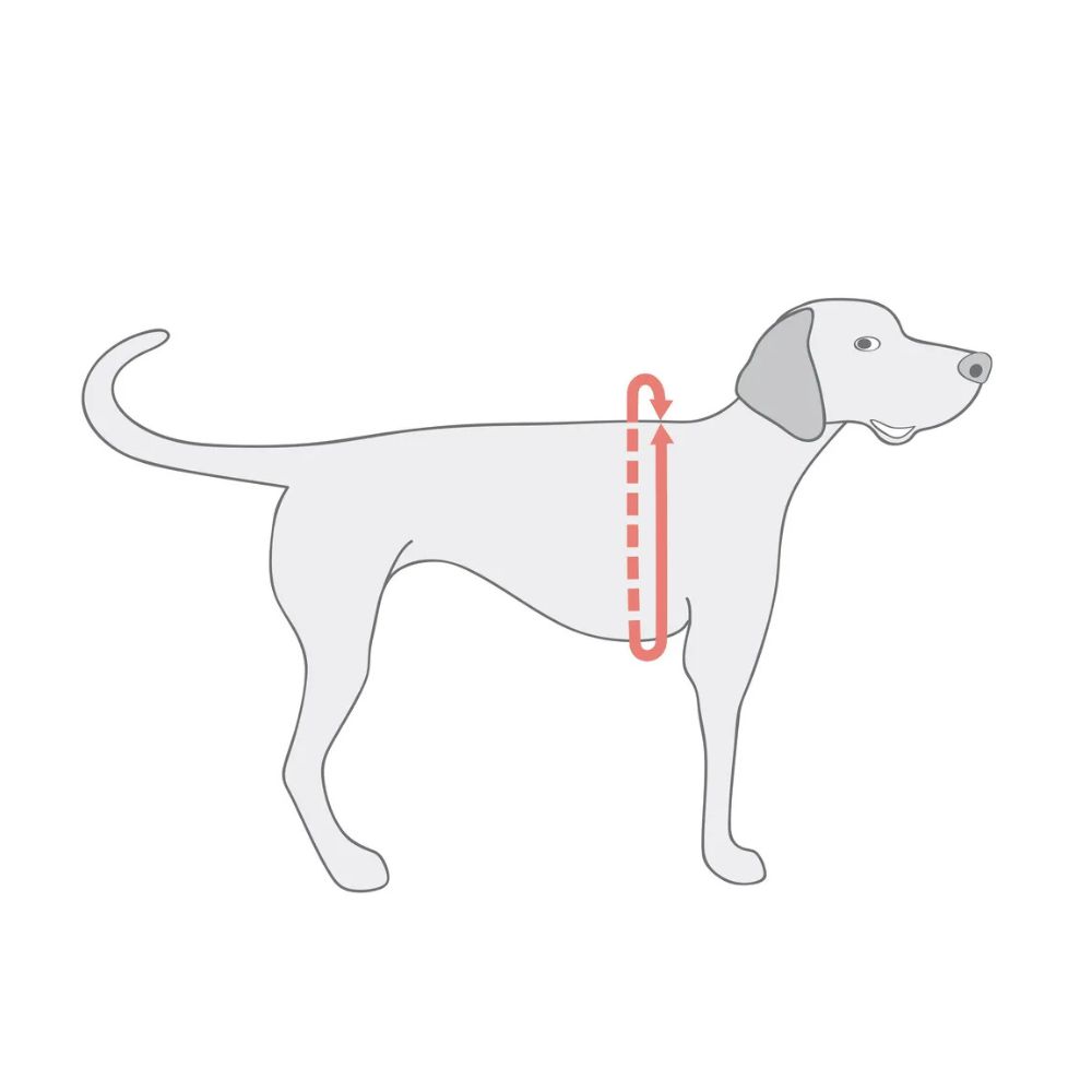 Arnes Easy Fit Mesh Camuflado Verde Para Perro