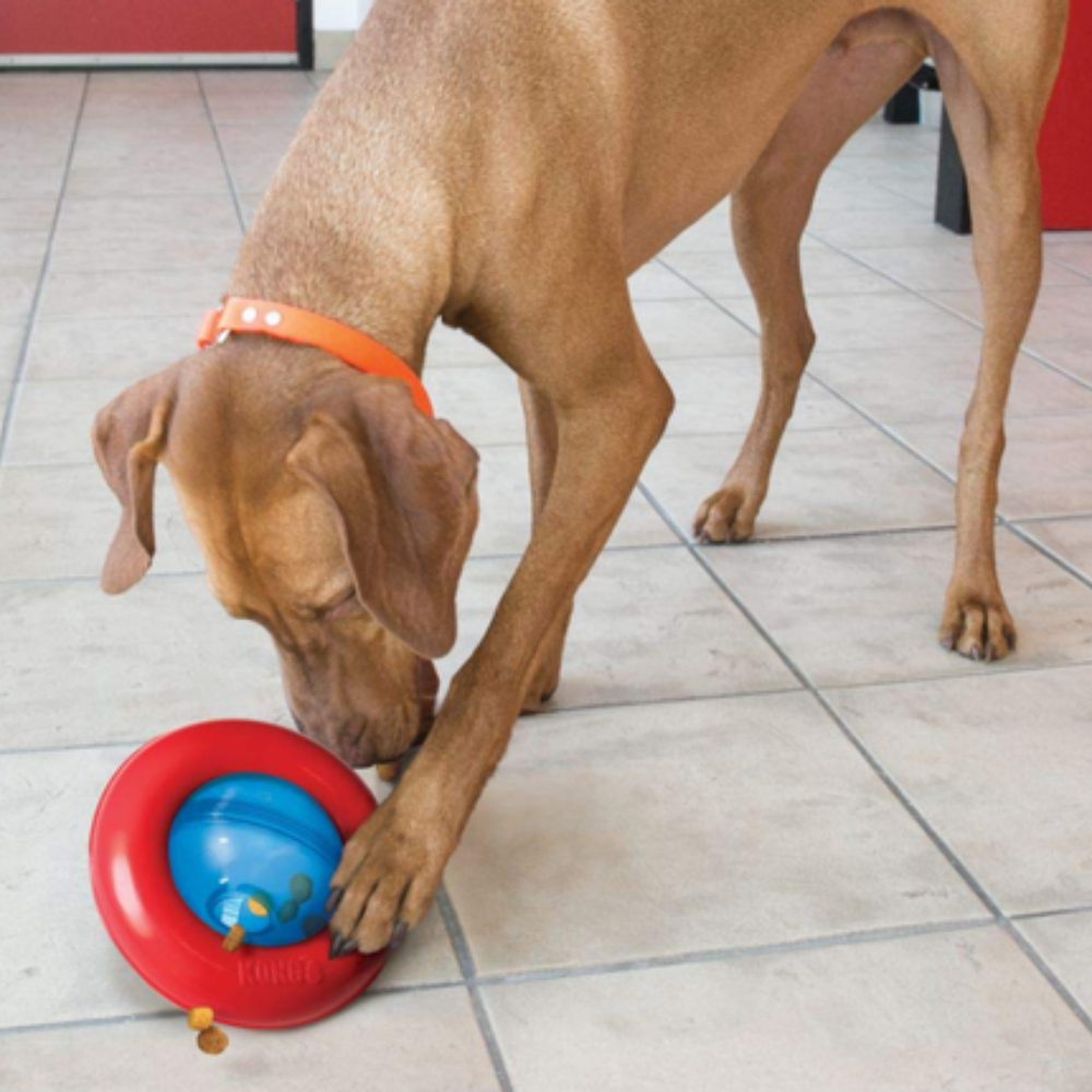 Juguete Kong Gyro Para Perro S
