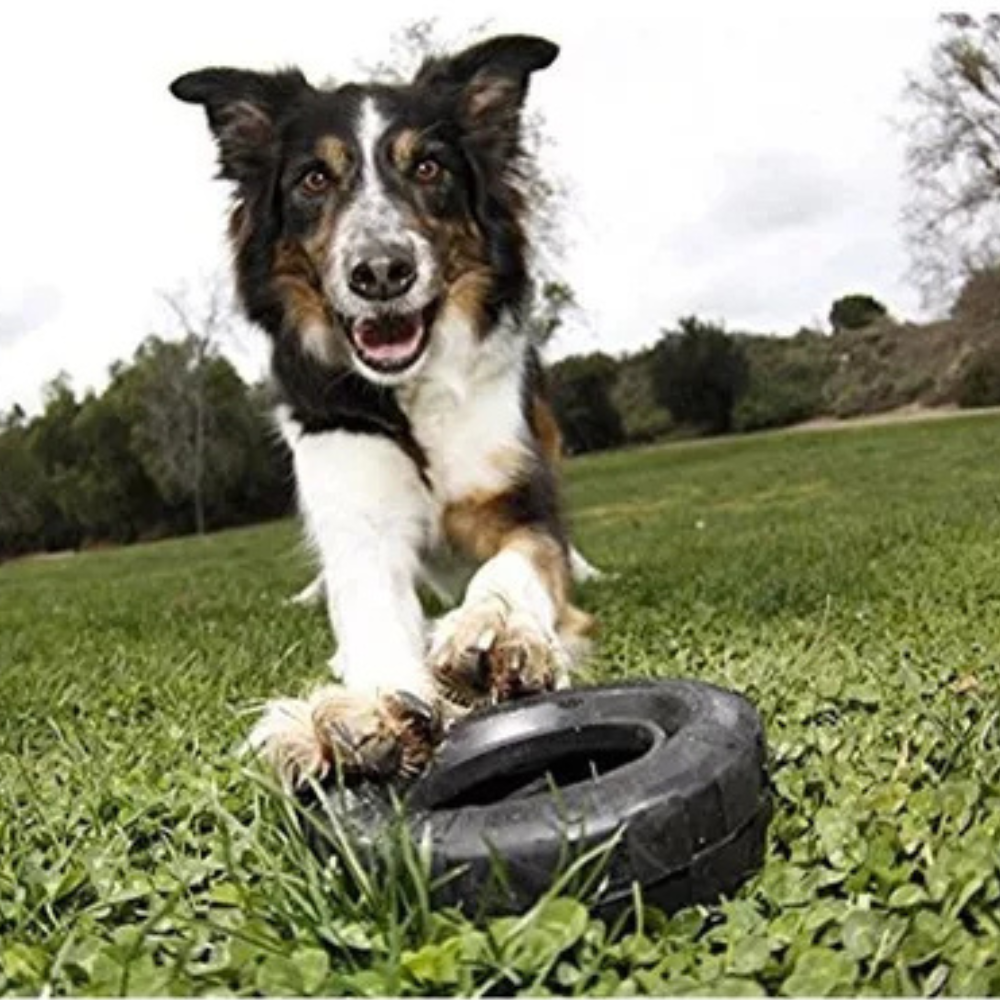 Juguete Kong Llanta Exteme Para Perro M