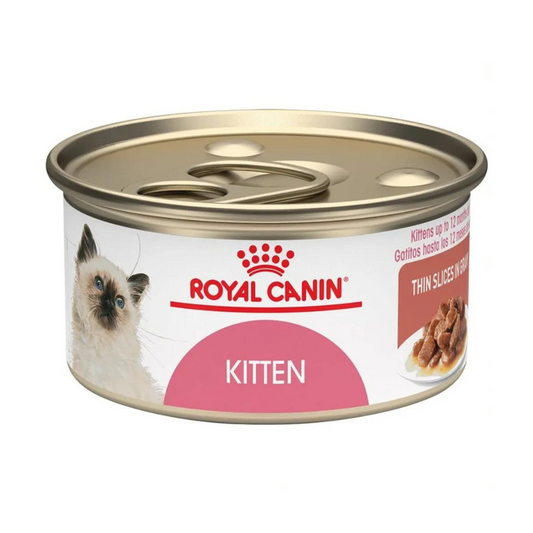 Alimento para gato Royal canin Lata Kitten