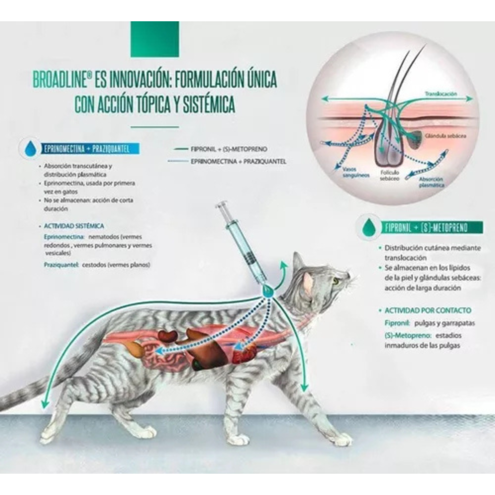 Broadline 0.6 a 2.5 KG Para Gato