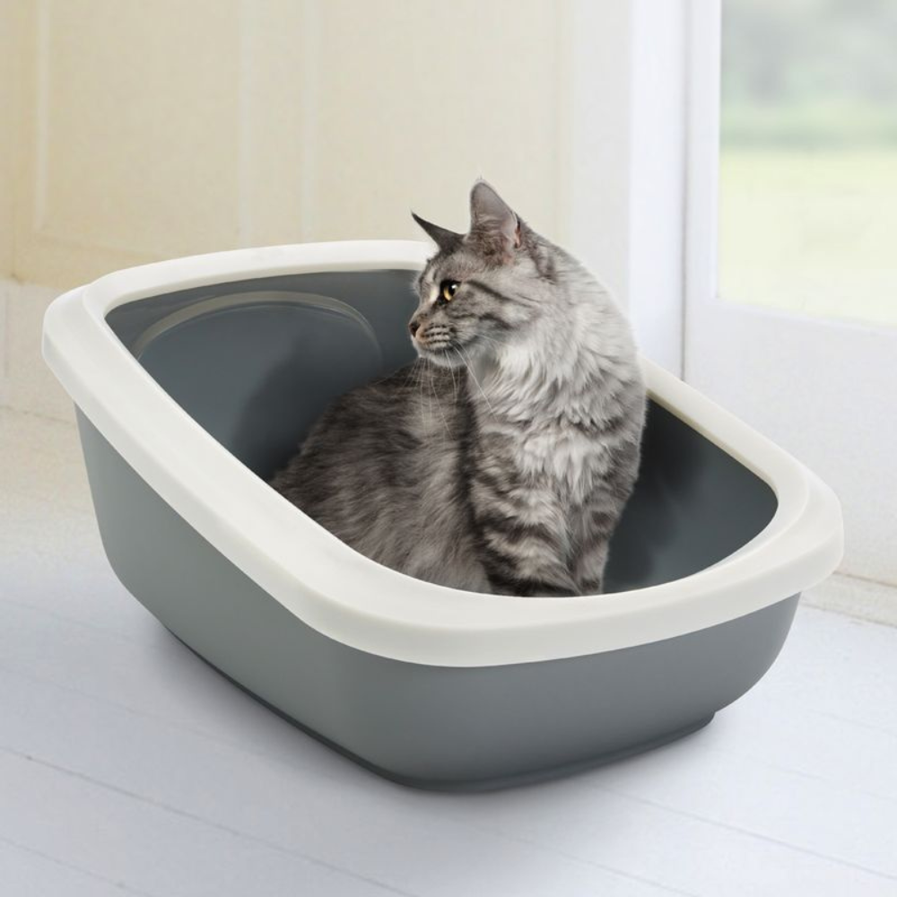 Aseo Arenero Con Espaldar Alto Y Aros Grande 56X39X27.5Cm Color Gris Para Gato