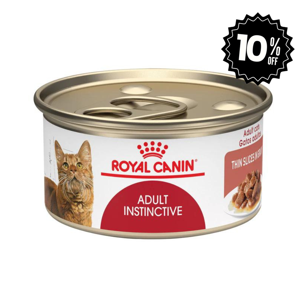 Alimento para gato Royal canin Lata Adulto