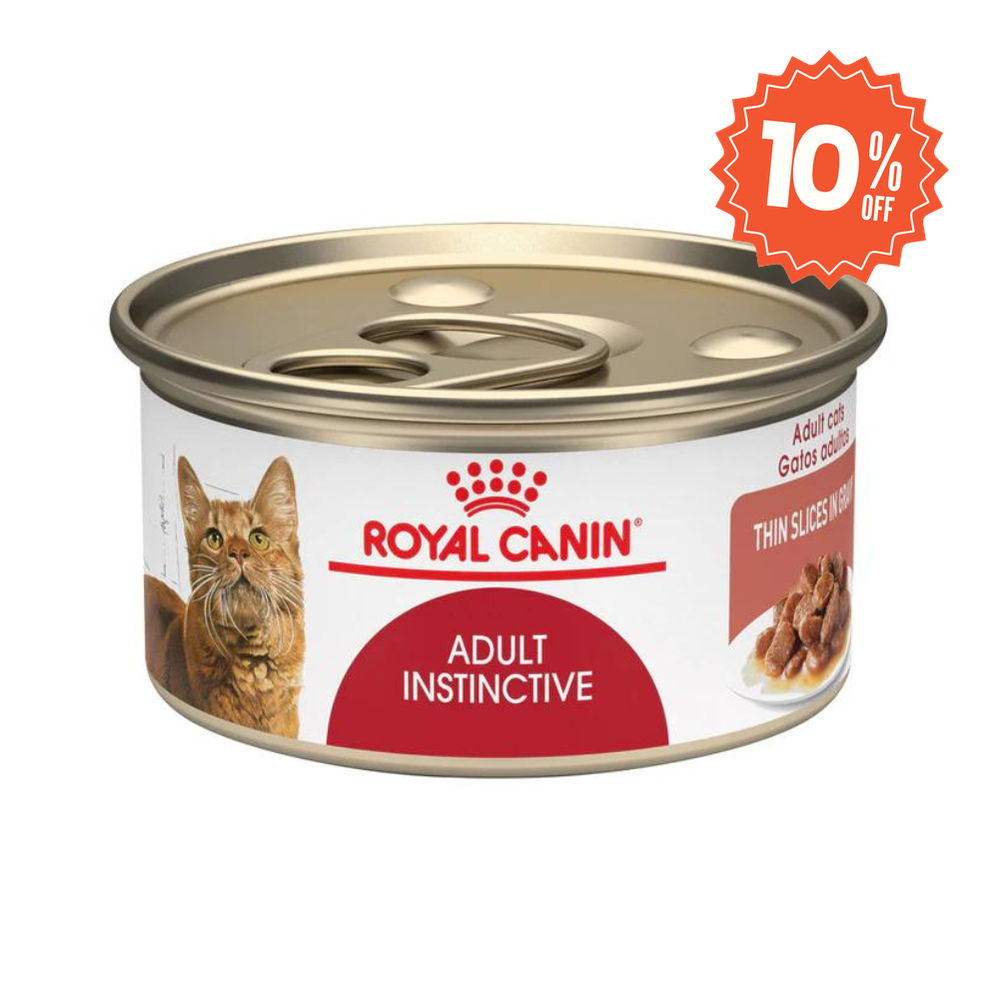 Alimento para gato Royal canin Lata Adulto