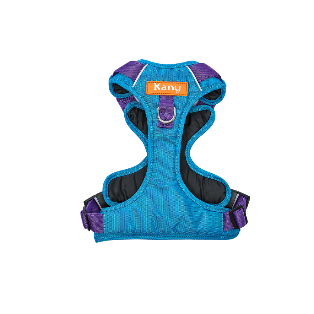 Pechera Walker Azul Morado Kanu Pet para Perro