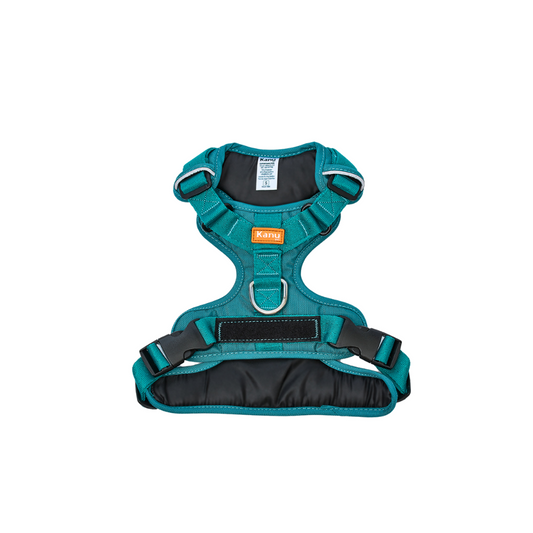 Pechera Walker Verde Jade Kanu Pet para Perro