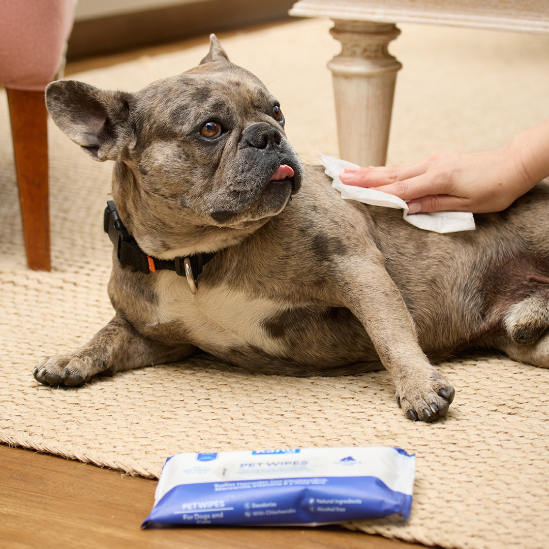 Pañitos Húmedos con Clorhexidina Kanu Vet para Perros y Gatos