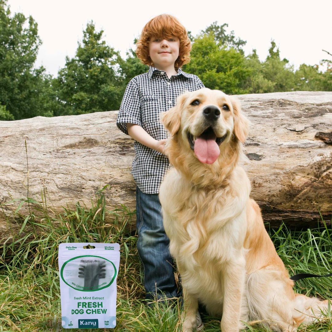 Snack Cepillo Dental Medium Kanu Pet Dental Fresh Para Perros Sabor a Menta