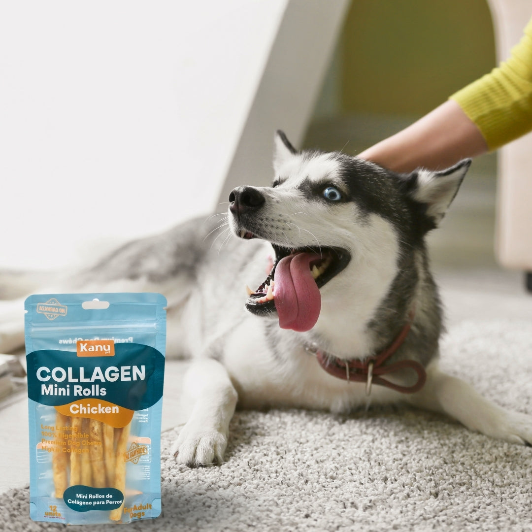 Snack Mini Rolls de Colágeno Kanu Pet de Pollo para Perro. No es carnaza x 12 Unds