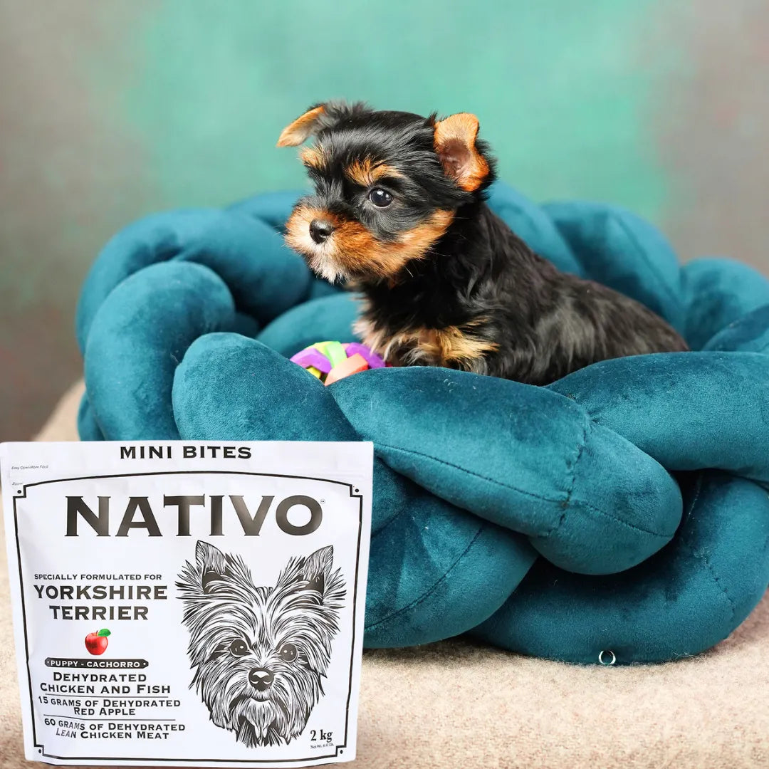 Alimento Seco Nativo Yorkshire Terrier Cachorro Kanu Pet para Perro