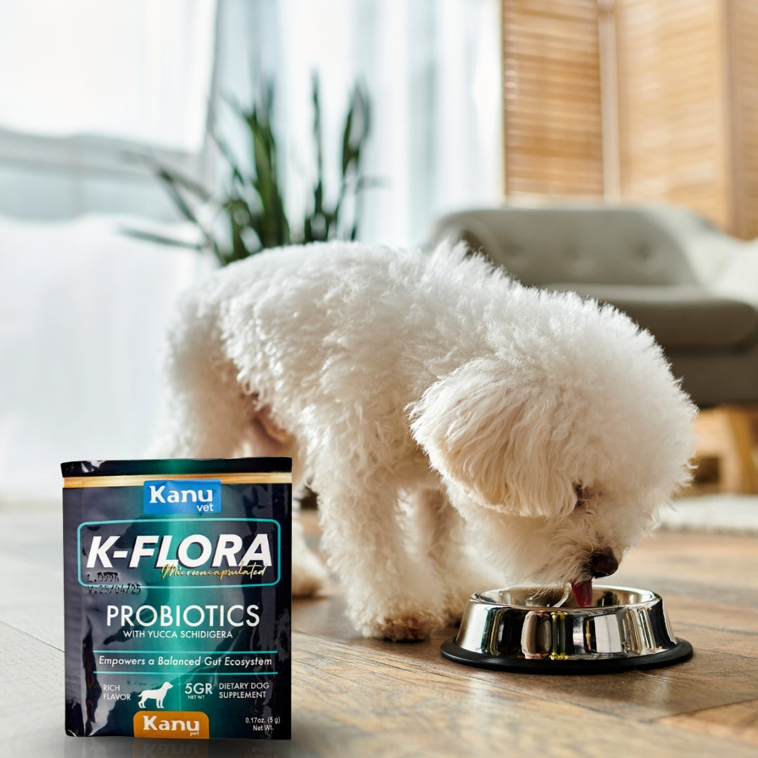 Suplemento Probiótico para perros K-Flora Sobre