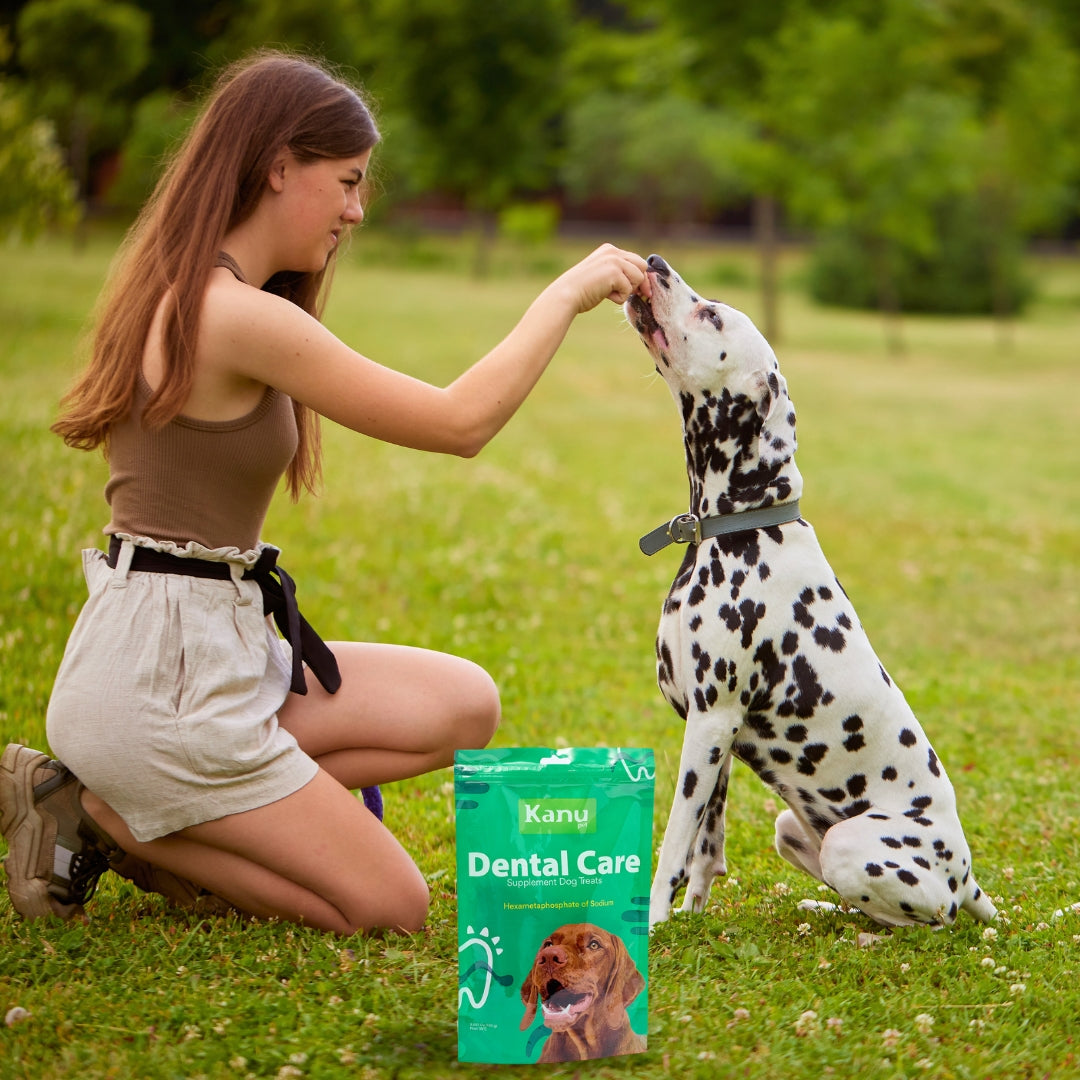 Snacks para la placa y el sarro Kanu Pet Nuggets Dental Care para Perro