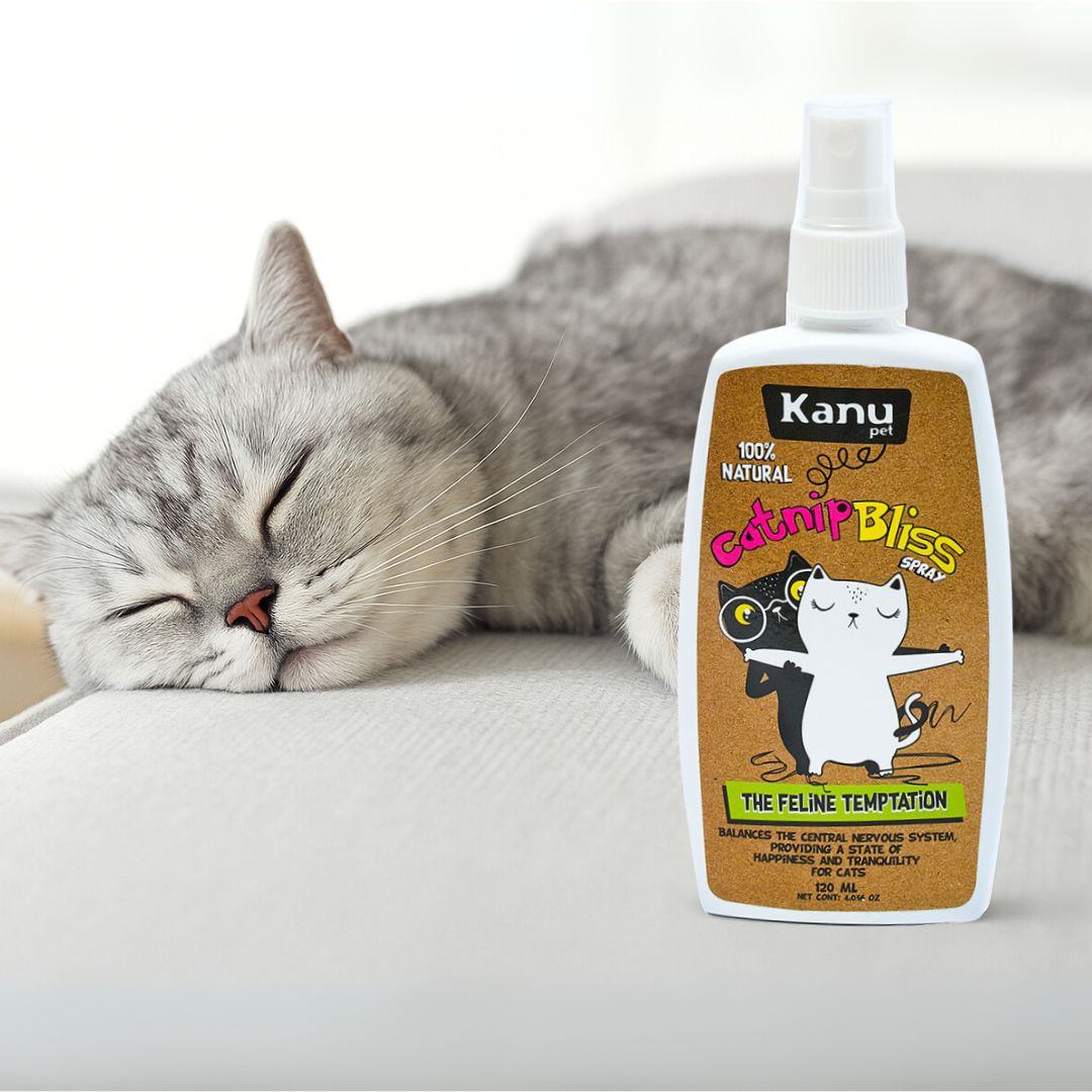 Spray de Hierba Gatuna Kanu Pet Catnip Bliss para Gatos