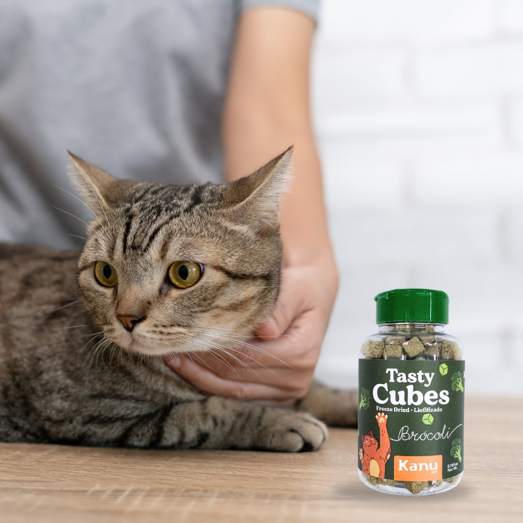 Snack Liofilizado Tasty Cubes Brocoli para Gatos, Bajas en Calorías