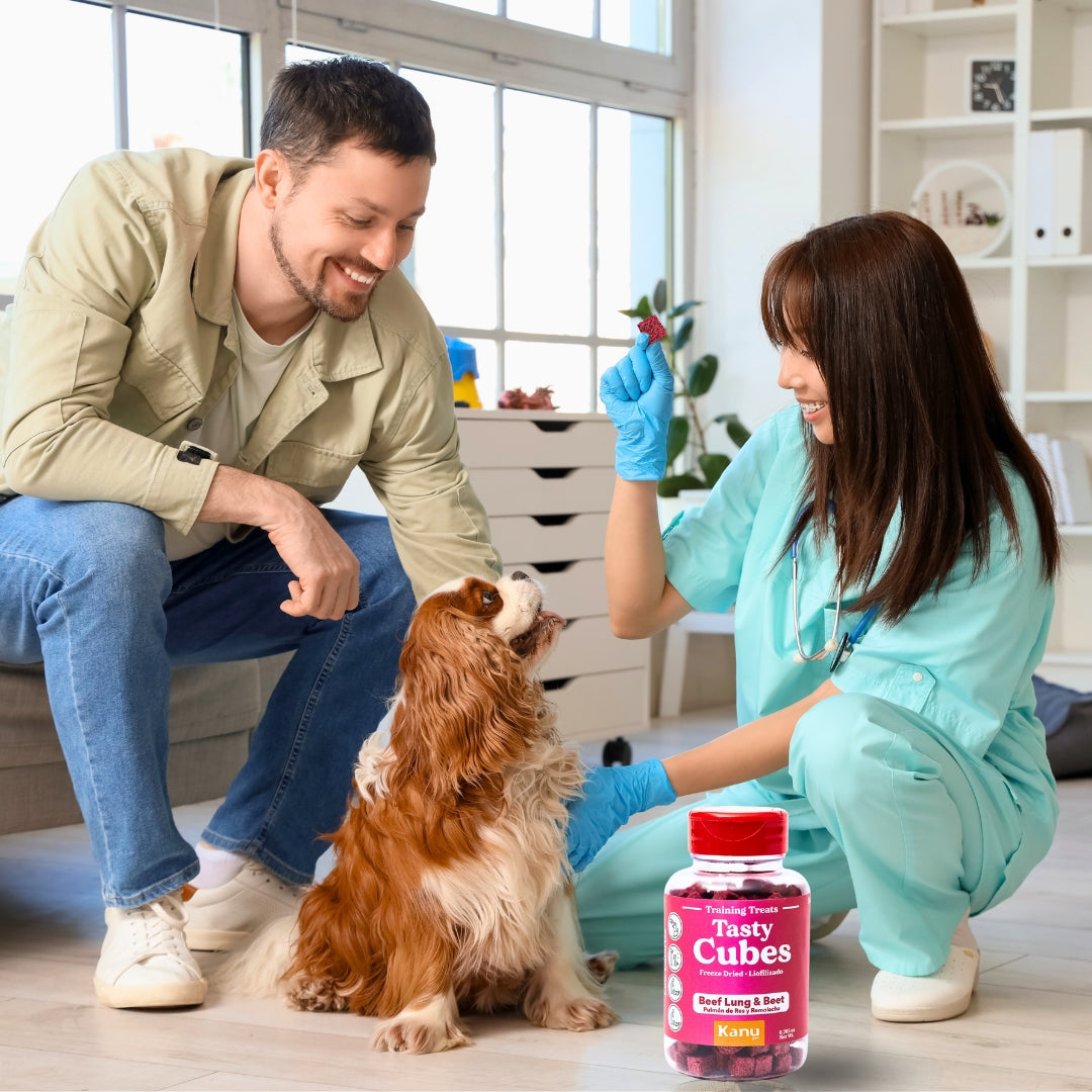 Kanu Pet Tasty Cubes de Remolacha Liofilizada para Perros, Ideales para Entrenar, Bajas en Calorías y Llenas de Sabor