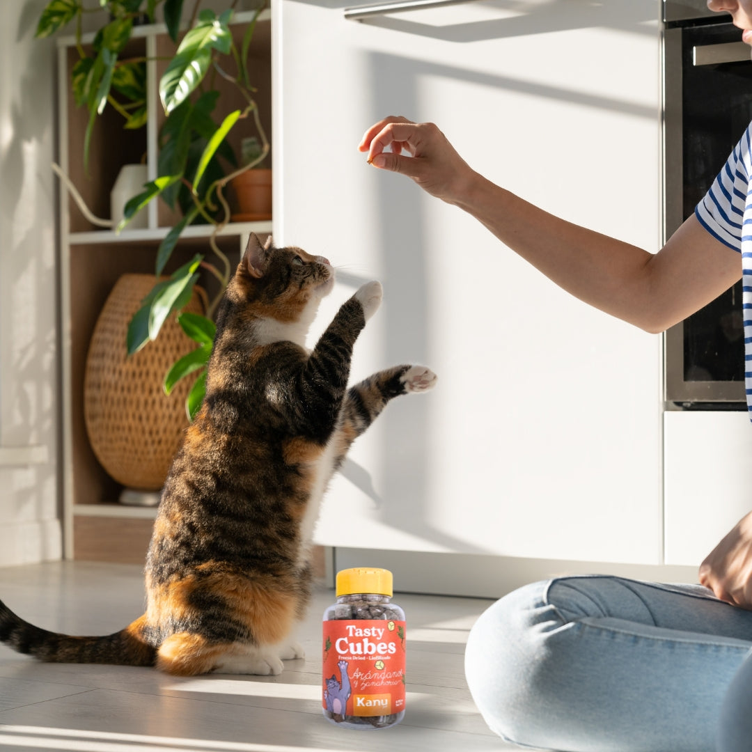 Snack Liofilizado Tasty Cubes Arándanos y Zanahoria para Gatos, Bajas en Calorías