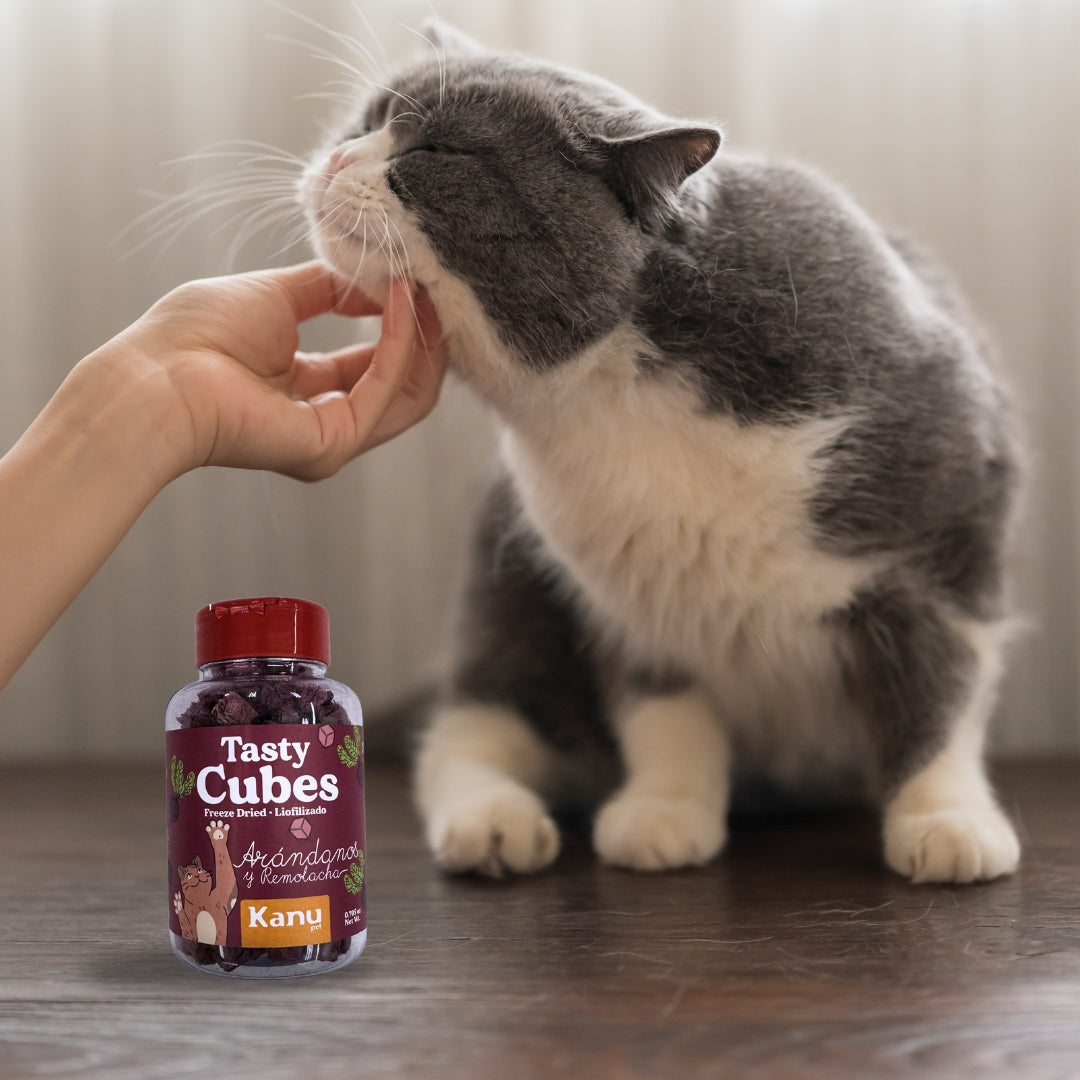 Snack Liofilizado Tasty Cubes Arándanos y Remolacha para Gatos, Bajas en Calorías