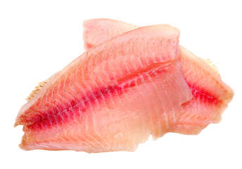 Tilapia