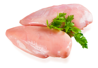 Pollo