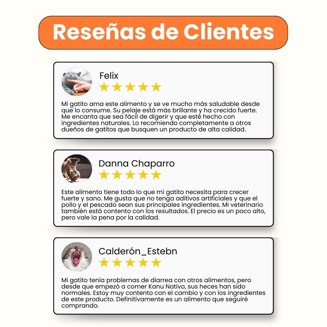 Alimento Seco Nativo Mantenimiento para Gatitos Kanu Pet